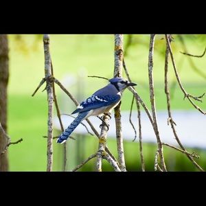 Meet your Posher, Tami